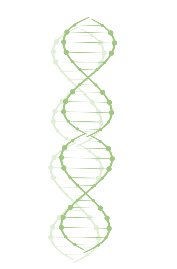 Medicina Integrativă - Abordarea Completă a Sănătății Tale