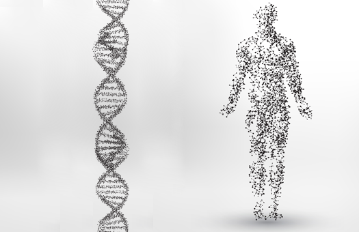 Metalele grele în corp - surse și efecte asupra sănătății