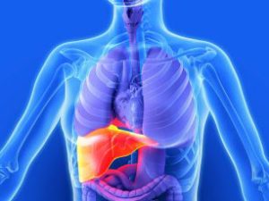 Detoxifierea ficatului: semne și soluții naturale